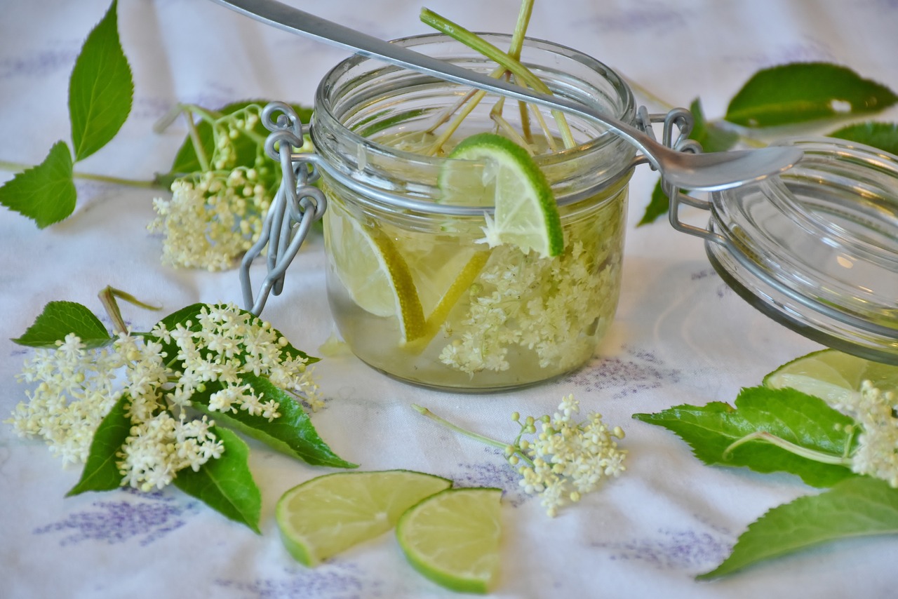 elderflower-guide_1