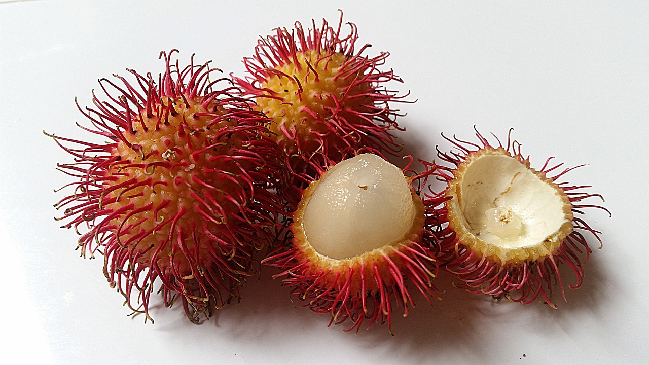 rambutan-guide_1