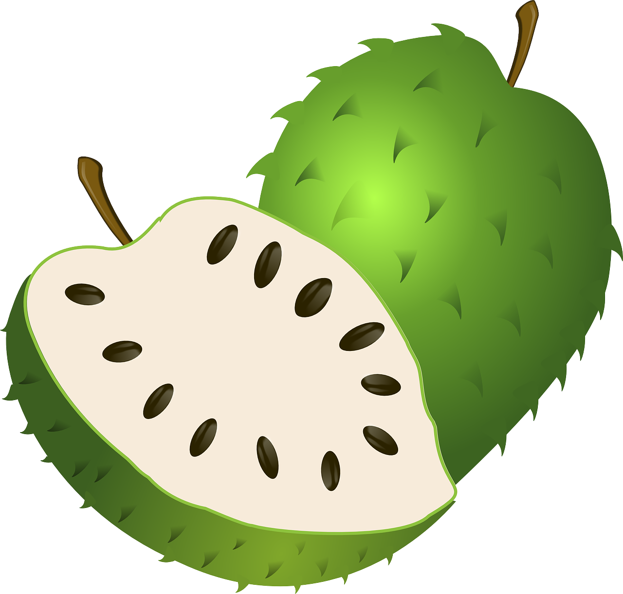 soursop-guide_1